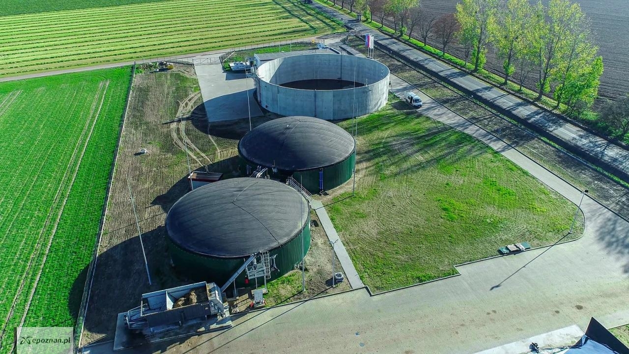 fot. Materiały prasowe