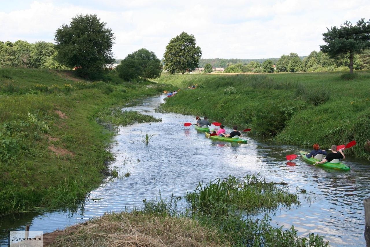 Zdjęcie ilustracyjne | fot. Autorstwa [kayaktours.pl - Praca własna, CC BY-SA 3.0, https://commons.wikimedia.org/w/index.php?curid=25138740