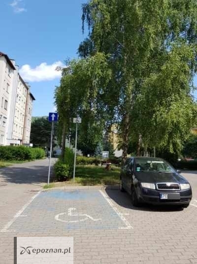 Zdaniem Czytelnika nieprawidłowo oznakowane miejsce parkingowe | fot. Czytelnik