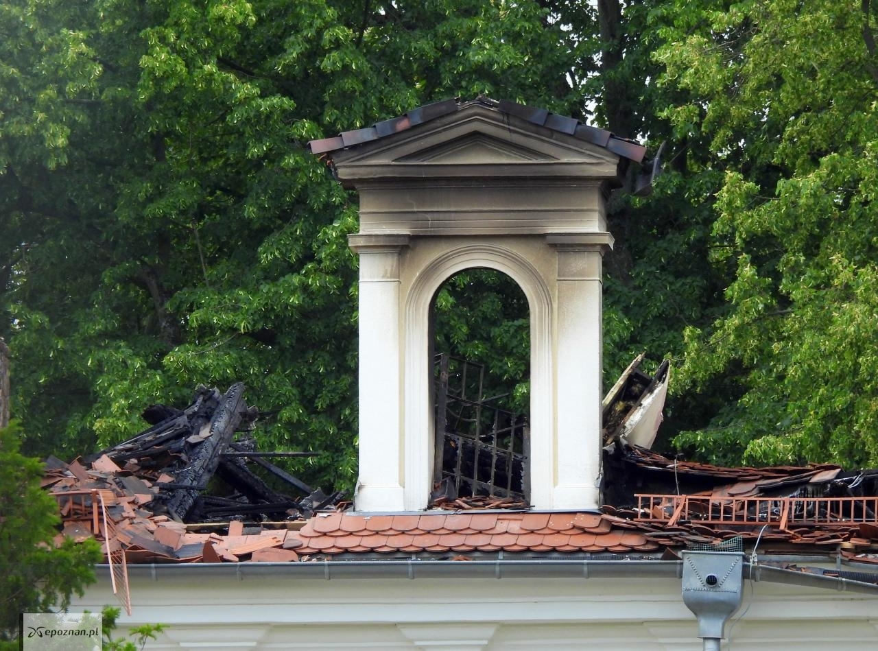 fot. Tomasz Zdulski