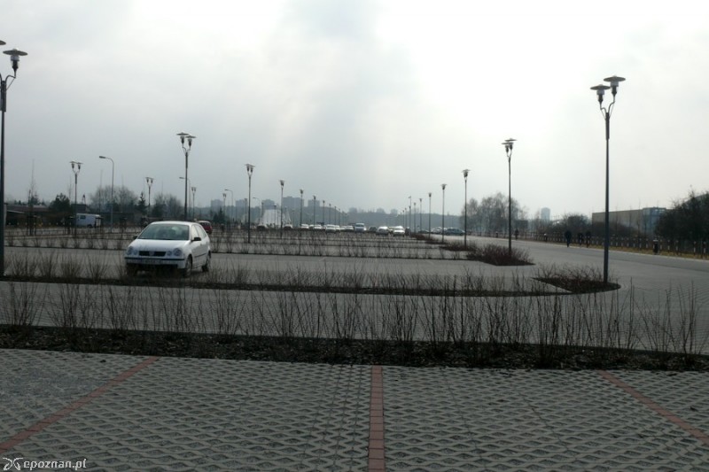 fot. Elżbieta Skowron