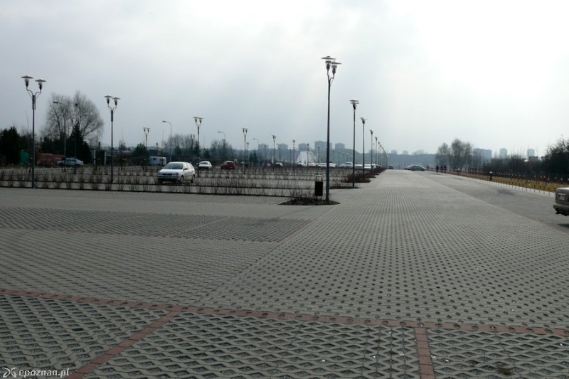 fot. Elżbieta Skowron