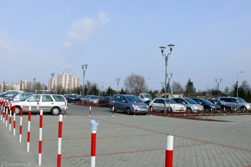 fot. Elżbieta Skowron