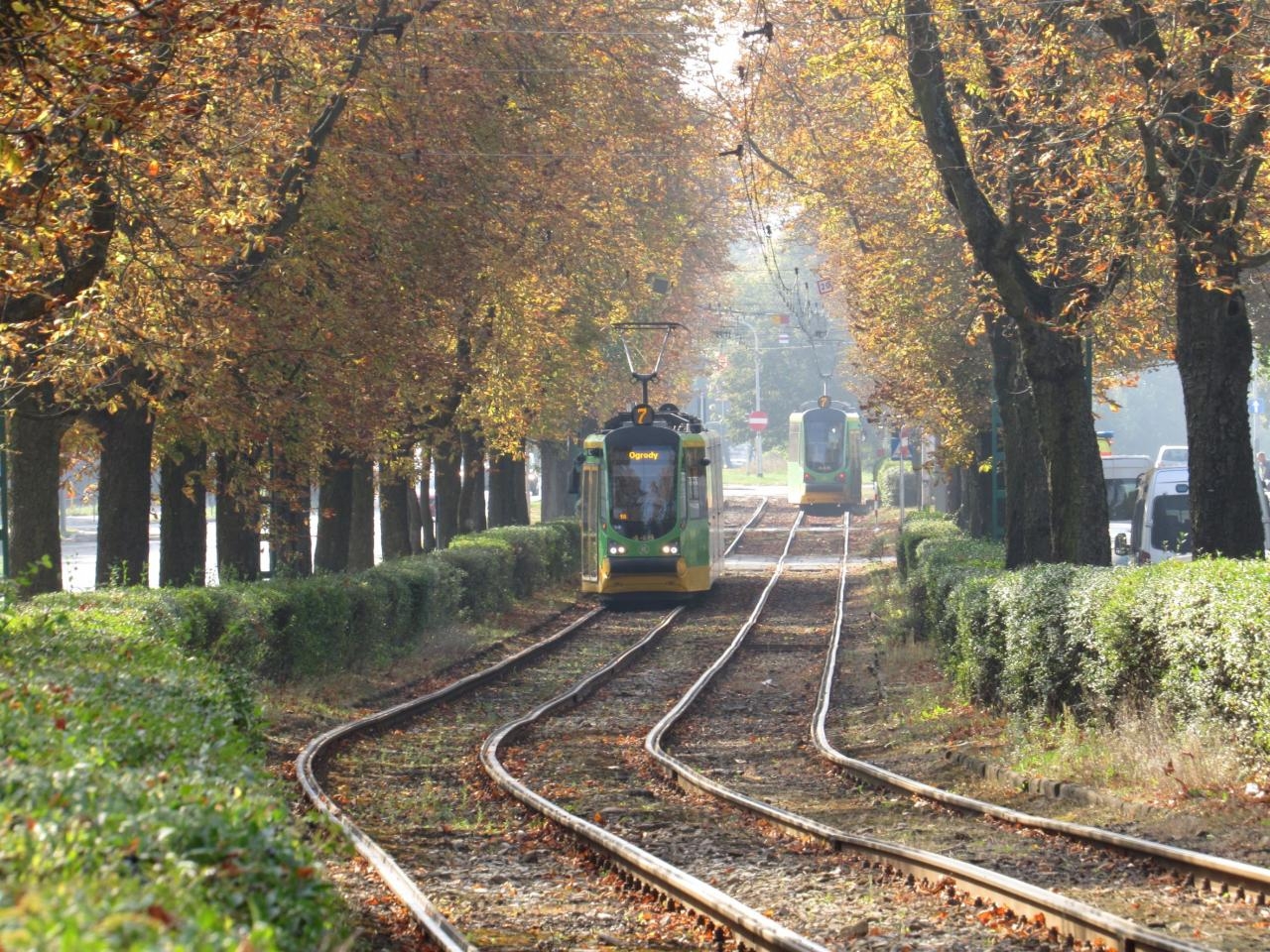 fot. ZTM Poznań