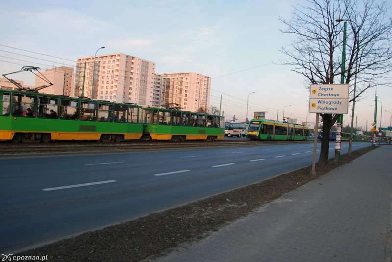 fot. Piotr Knach