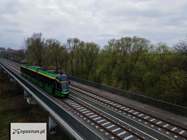 fot. ZTM Poznań