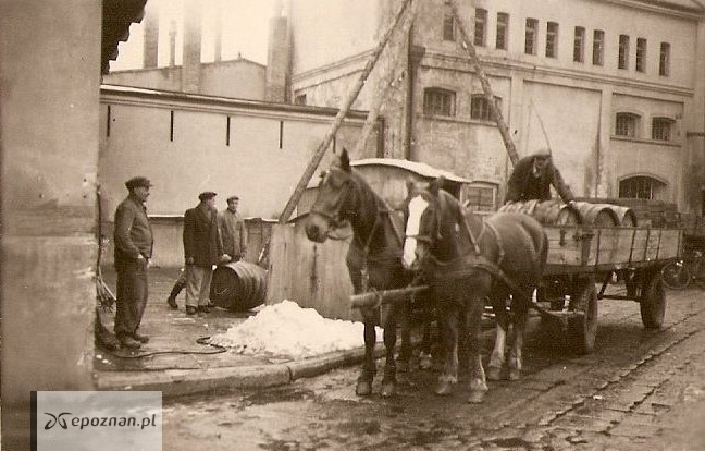 fot. Materiały prasowe