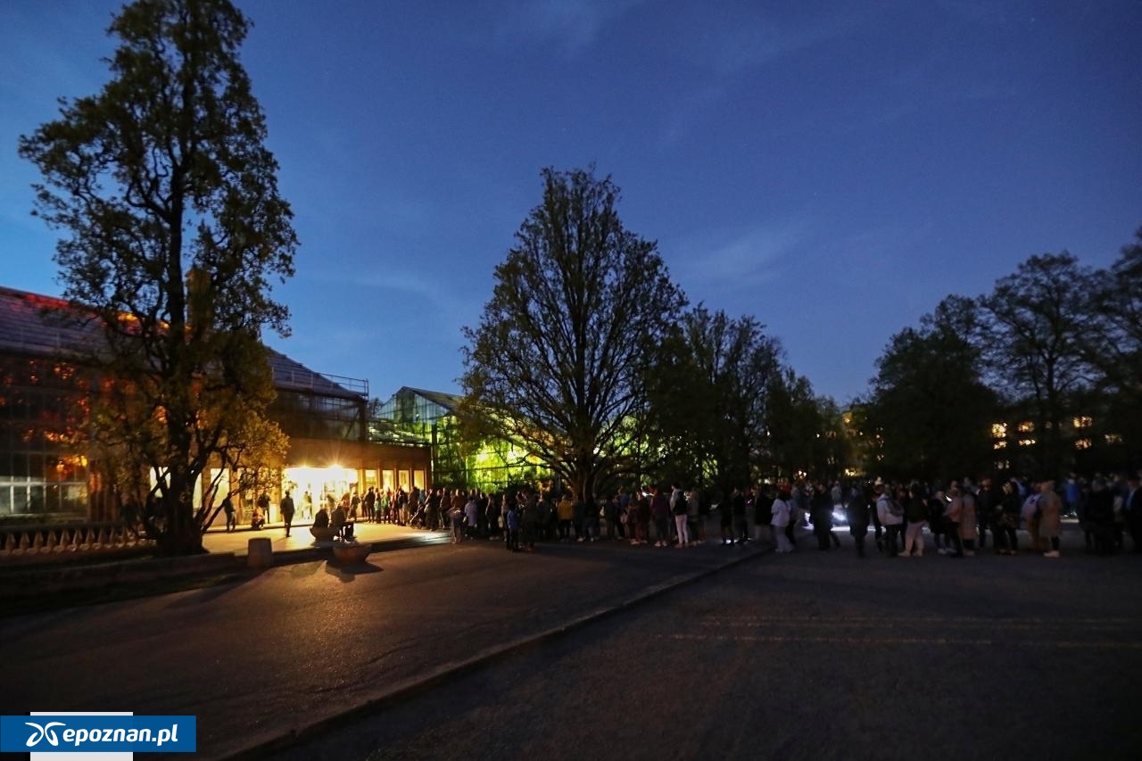 Tłum podczas nocnego zwiedzania Palmiarni. | fot. L.T. / archiwum
