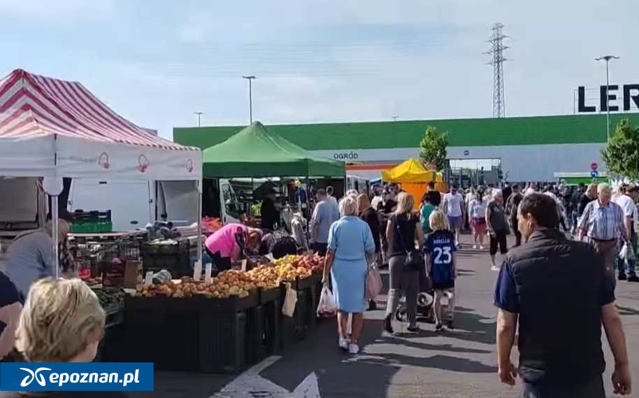 fot. Kadr filmu Giełda Staroci Pchli Targ Poznań/Facebook