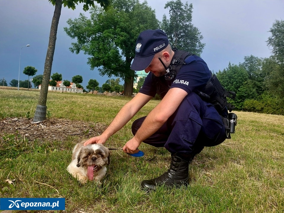 fot. Komenda Powiatowa Policji w Gostyniu.