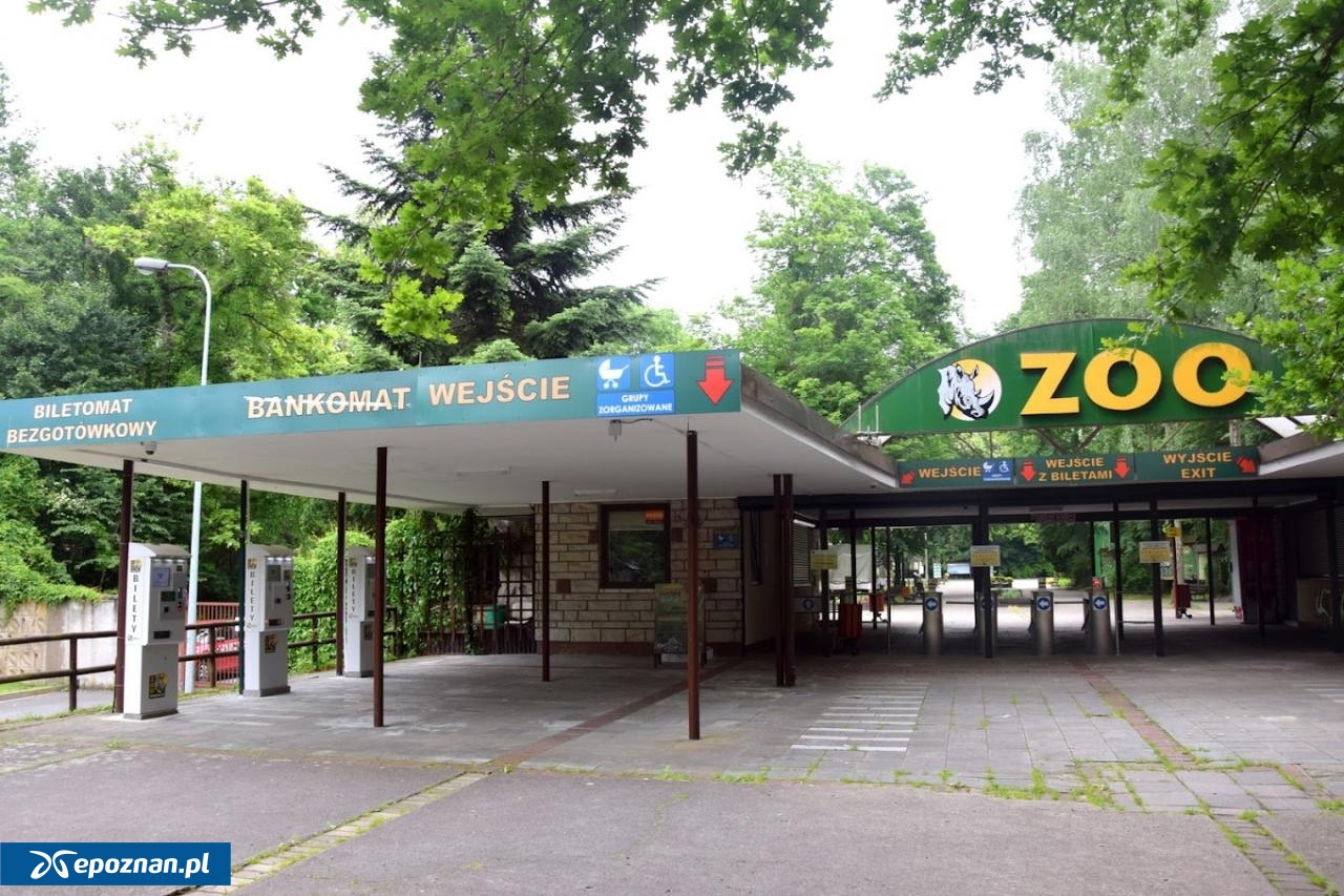 fot. ZOO Poznań