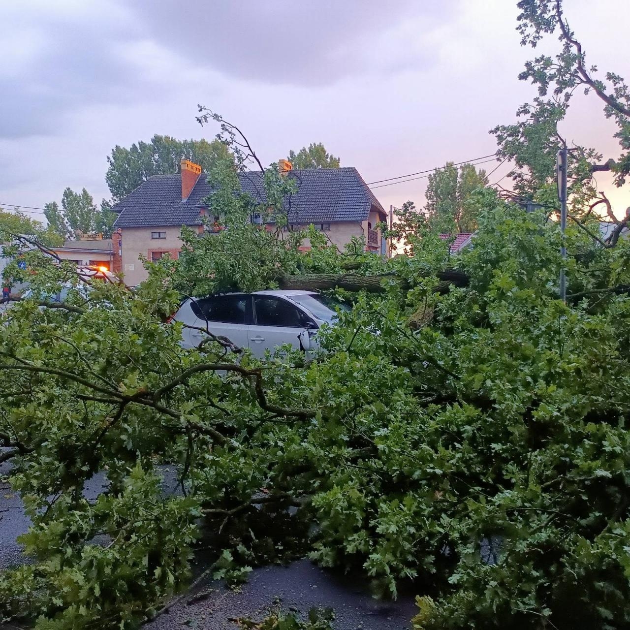 fot. Ochotnicza Straż Pożarna w Kwilczu - OSP KSRG / FB