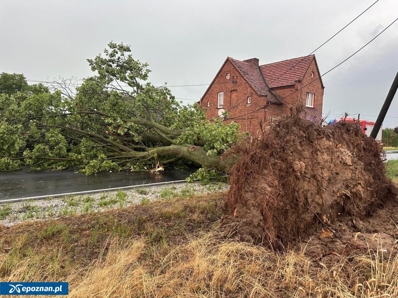 fot. Komenda Powiatowa Państwowej Straży Pożarnej w Międzychodzie / FB