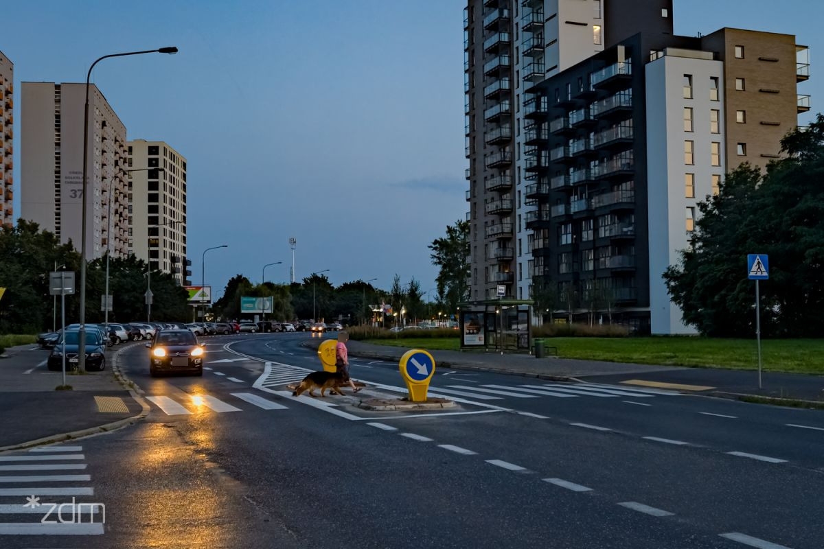 fot. ZDM Poznań