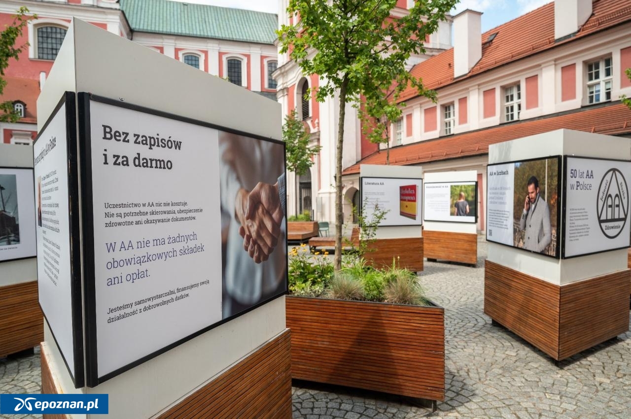 fot. UM Poznań