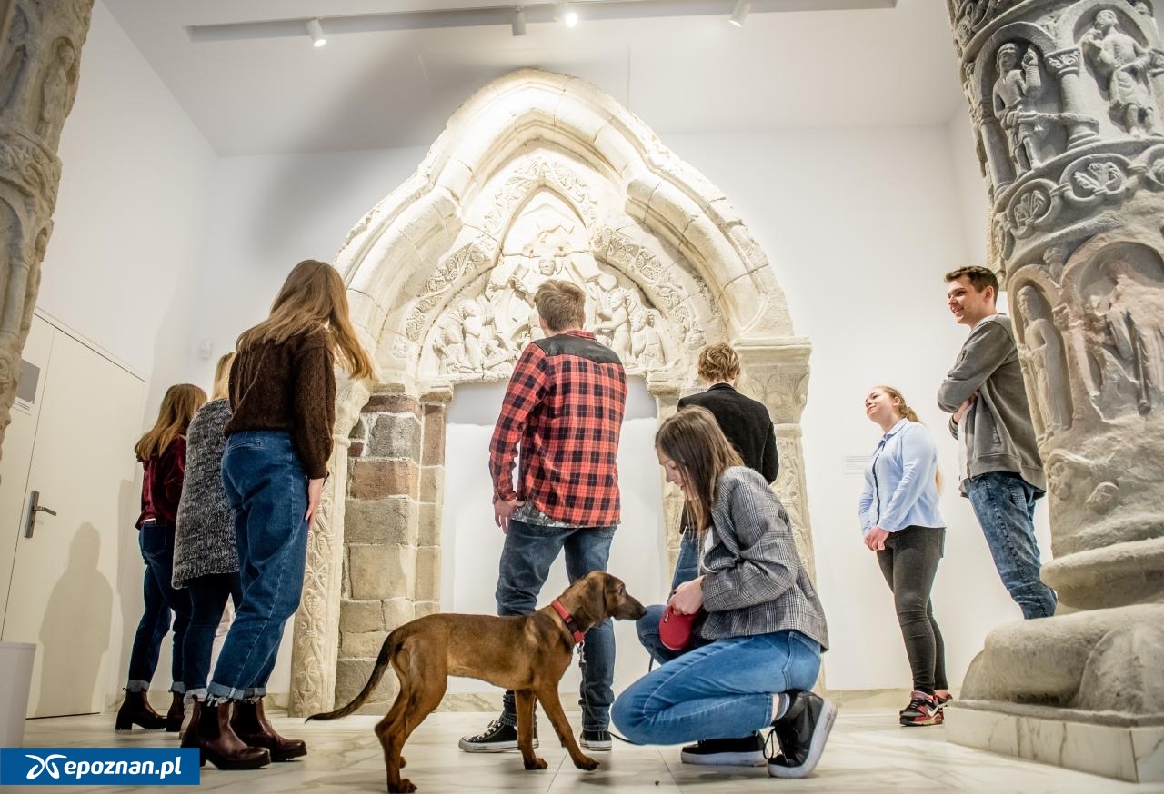 fot. Muzeum Początków Państwa Polskiego w Gnieźnie