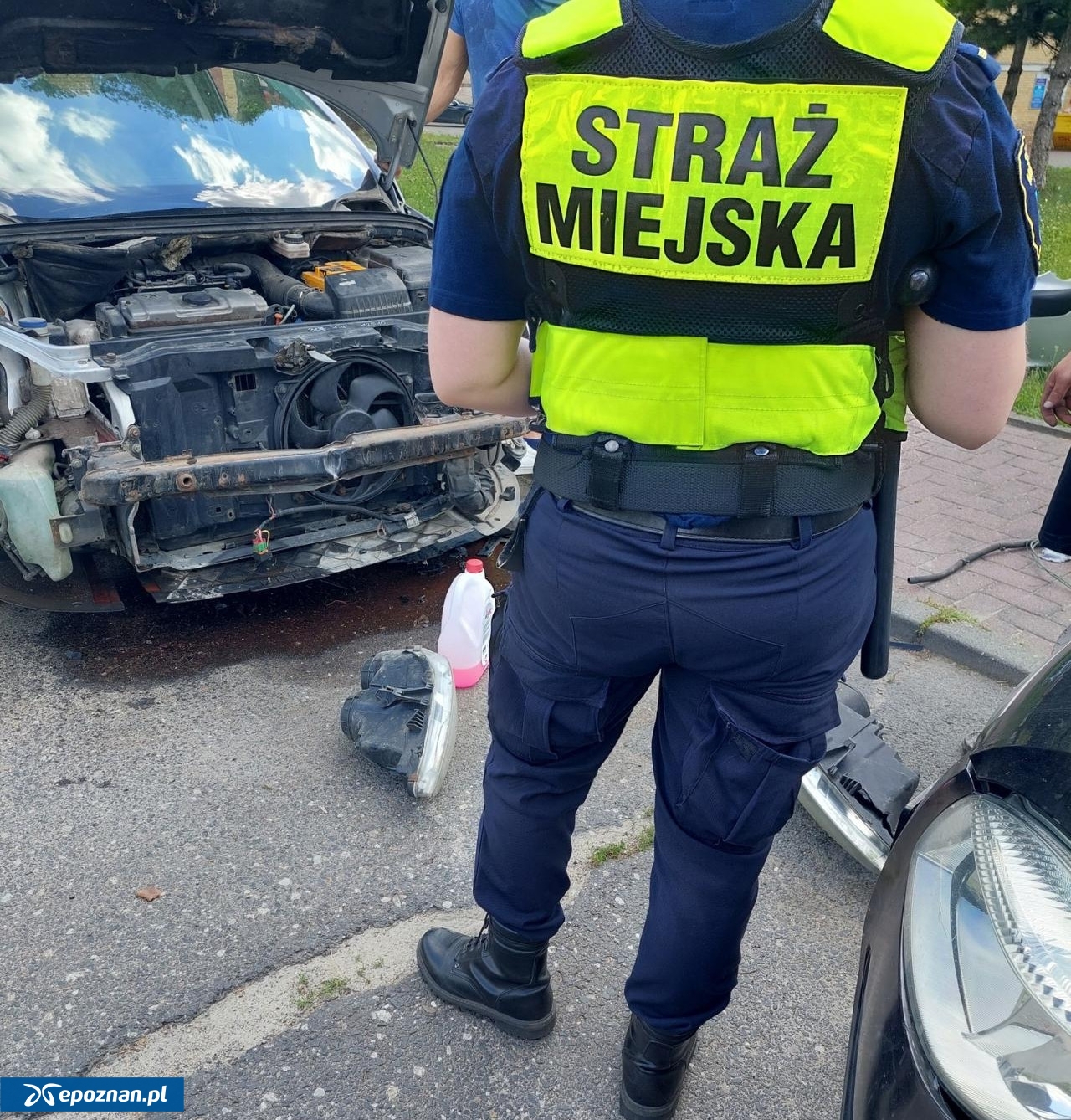 fot. Straż Miejska Miasta Poznania / FB