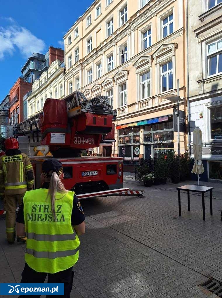 fot. Straż Miejska Miasta Poznania.