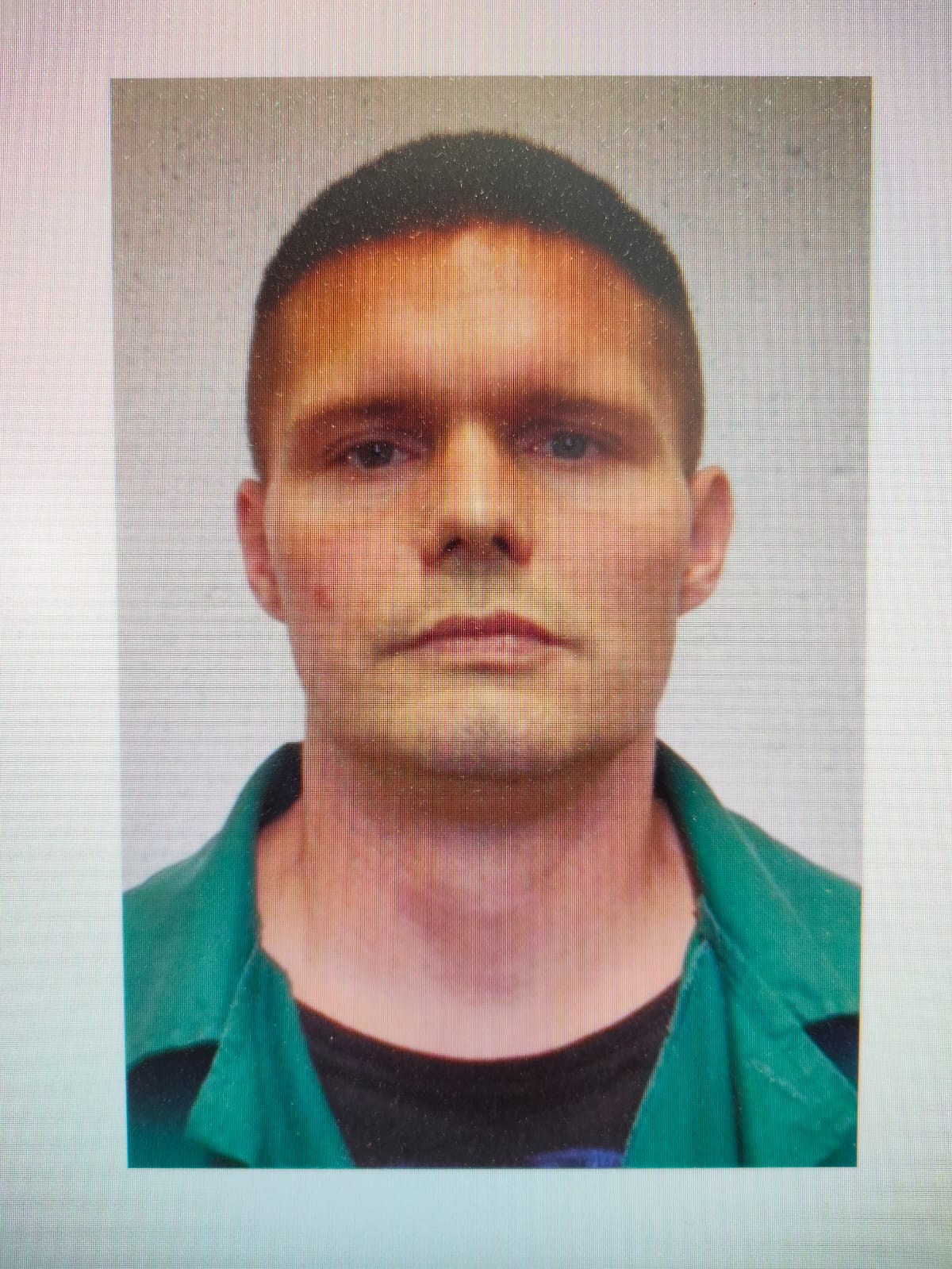 Zagin Poznaniak zagin-poznaniak