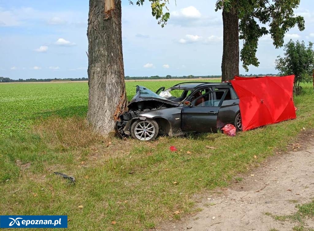 fot. nadkom. Piotr Nowacki, asp. Łukasz Góra / KPP w Śremie