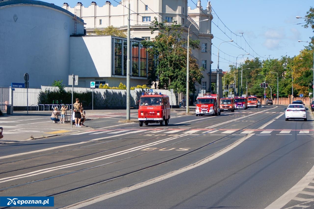 fot. Krystian Andrzejewski