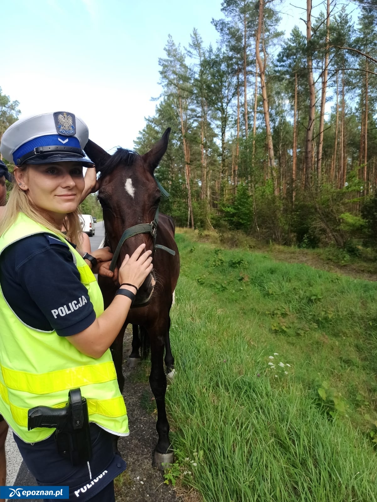 fot. Policja