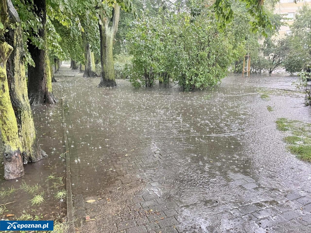 fot. Ostrów Wielkopolski. Miasto z sercem / FB