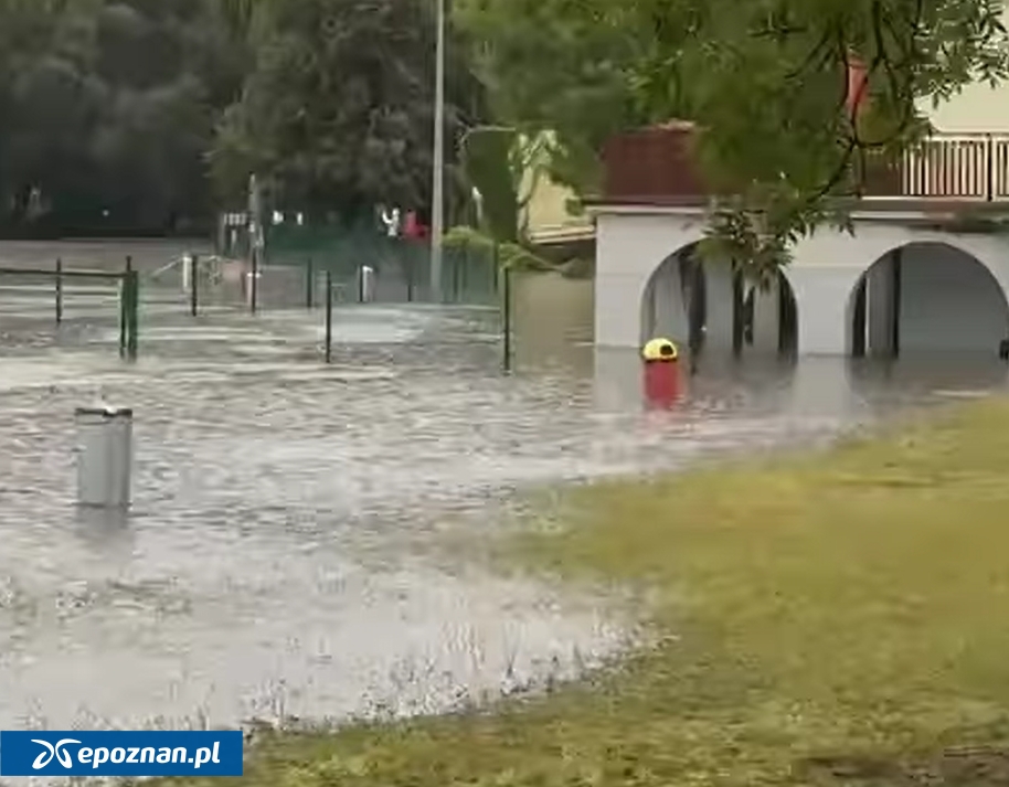 fot. Kadr filmu Łukasza Uciechowskiego/Facebook.