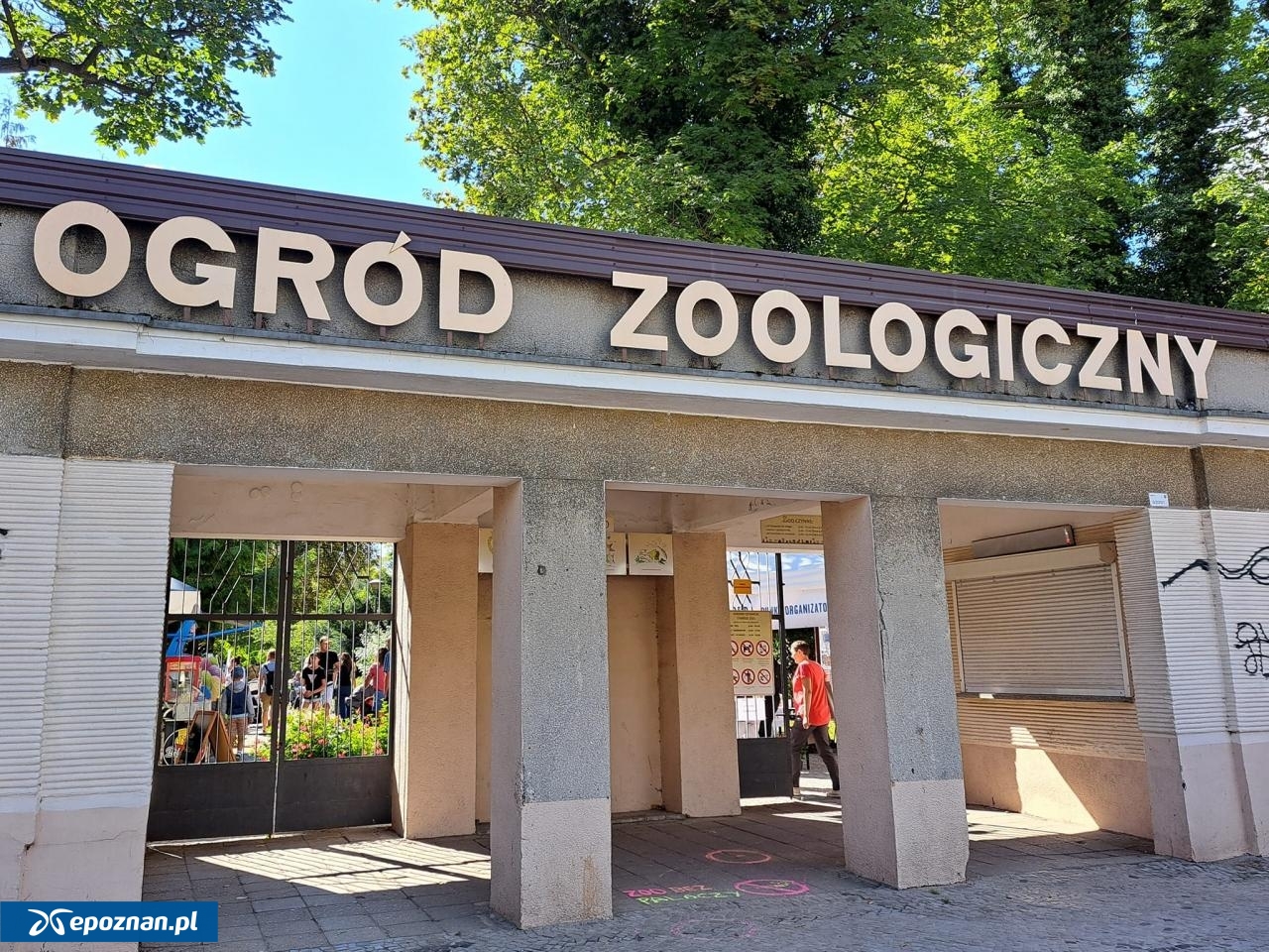 zdjęcie ilustracyjne, archiwum | fot. Stare ZOO Poznań Official Site / FB