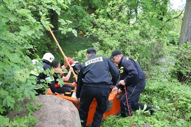 fot. PSP w Gostyniu/gostyn24.pl