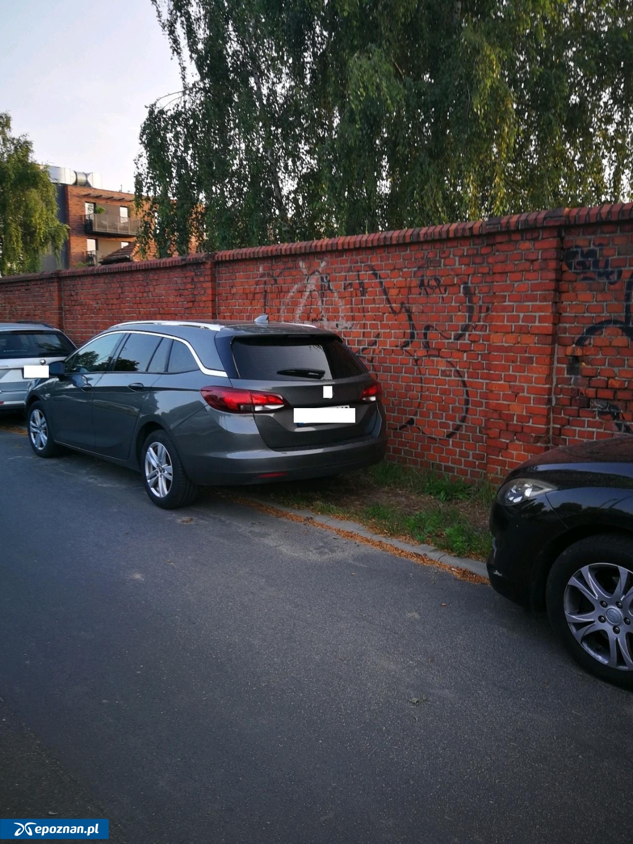 fot. Straż Miejska Miasta Poznania