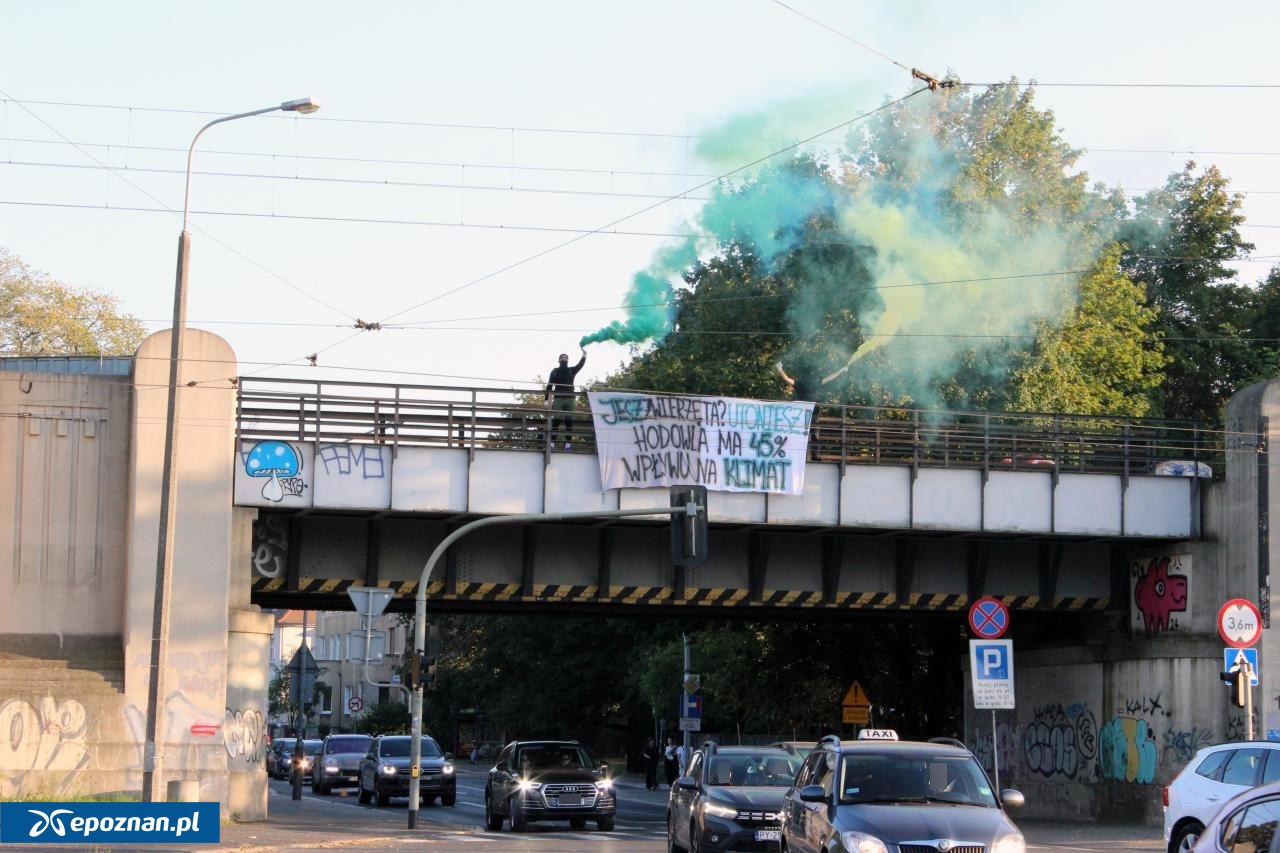 fot. Materiały organizatora