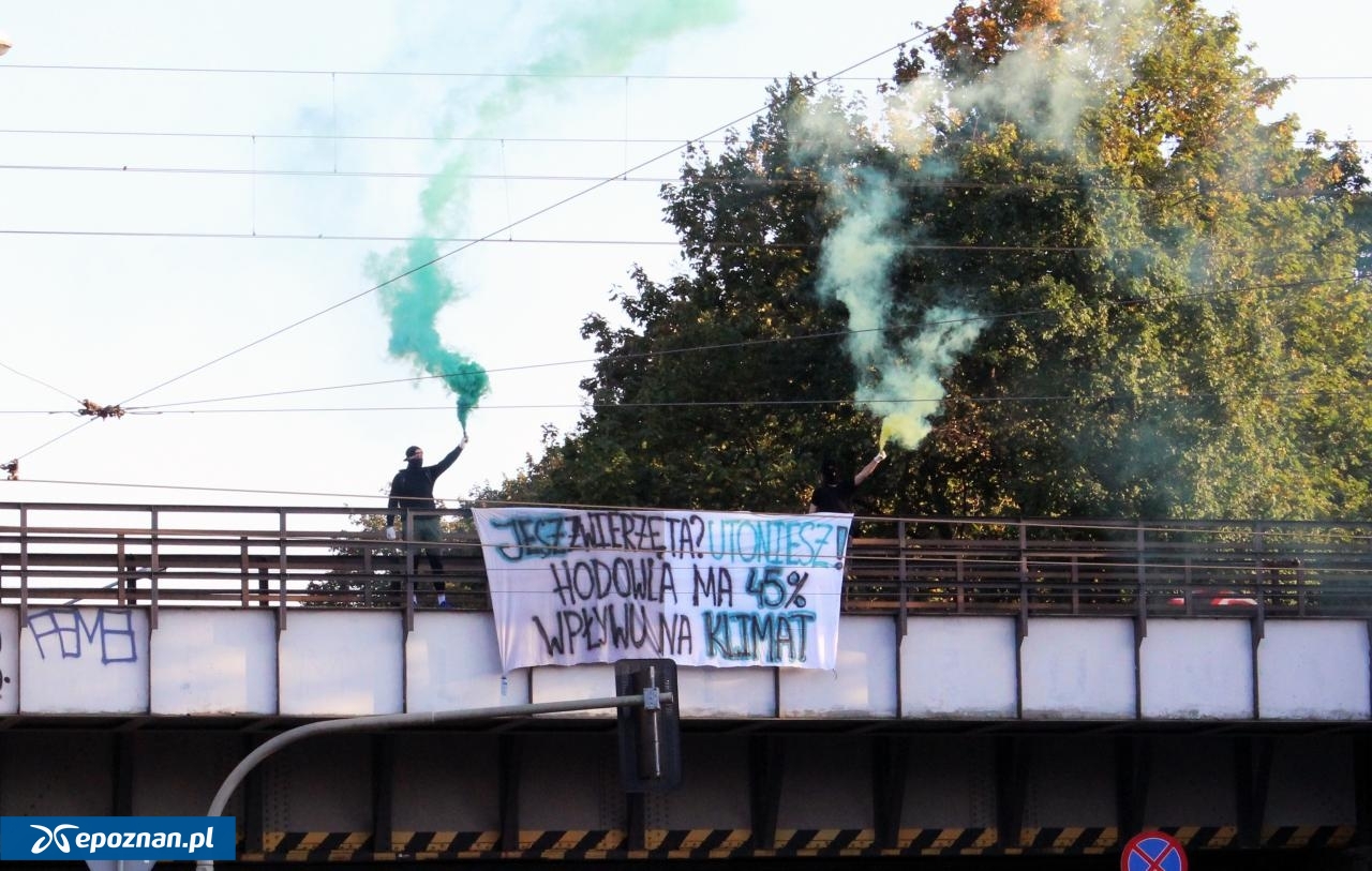 fot. Materiały organizatora