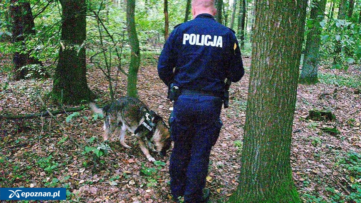 Zdjęcie ilustracyjne | fot. Policja