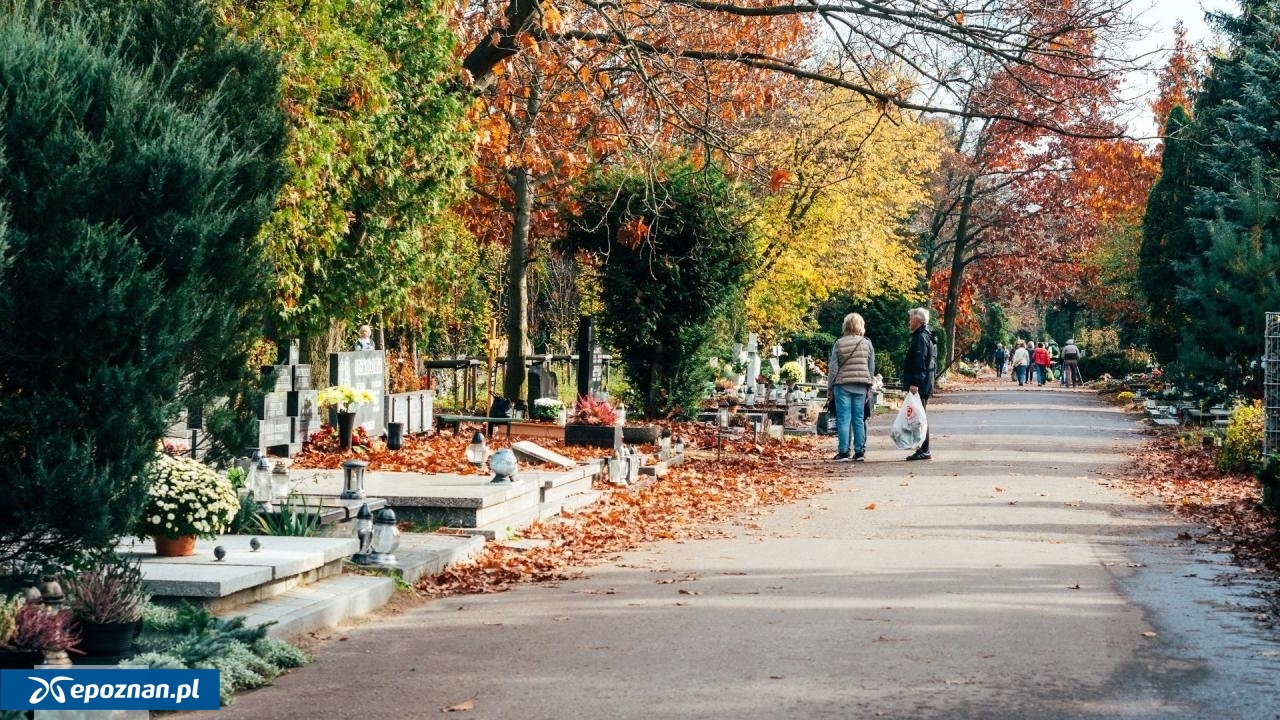 fot. UM Poznań