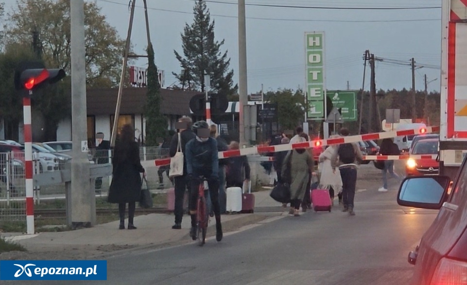 fot. Kadr filmu przesłanego przez Czytelnika.