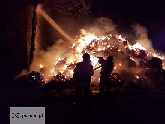 Zdjęcie ilustracyjne | fot. mł. ogn. D.Śrubas / KPP SP Słupca