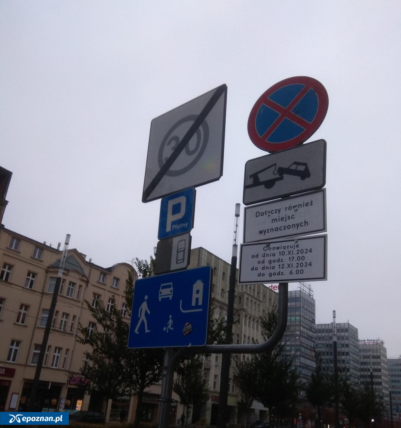fot. Straż Miejska Miasta Poznania / FB
