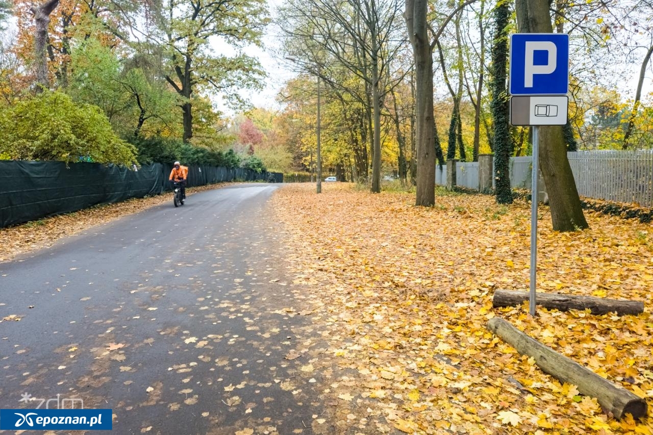 fot. ZDM Poznań