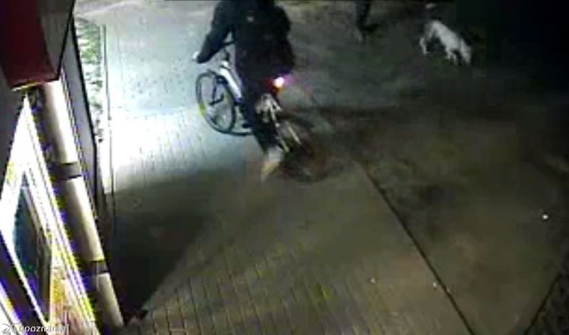 Moment kradzieży roweru | fot. Zapis z nagrania monitoringu