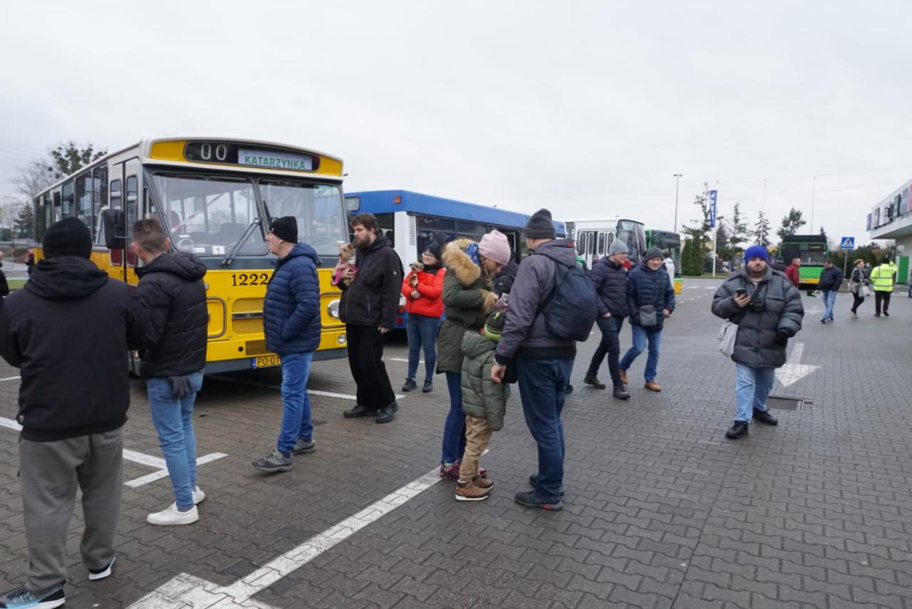 Wielkie świętowanie w Poznaniu. Atrakcje przygotowano w kilku miejscach