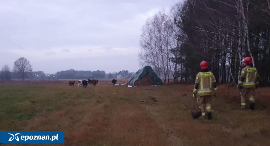 fot. Kamil Wszędybył, OSP Paprotnia