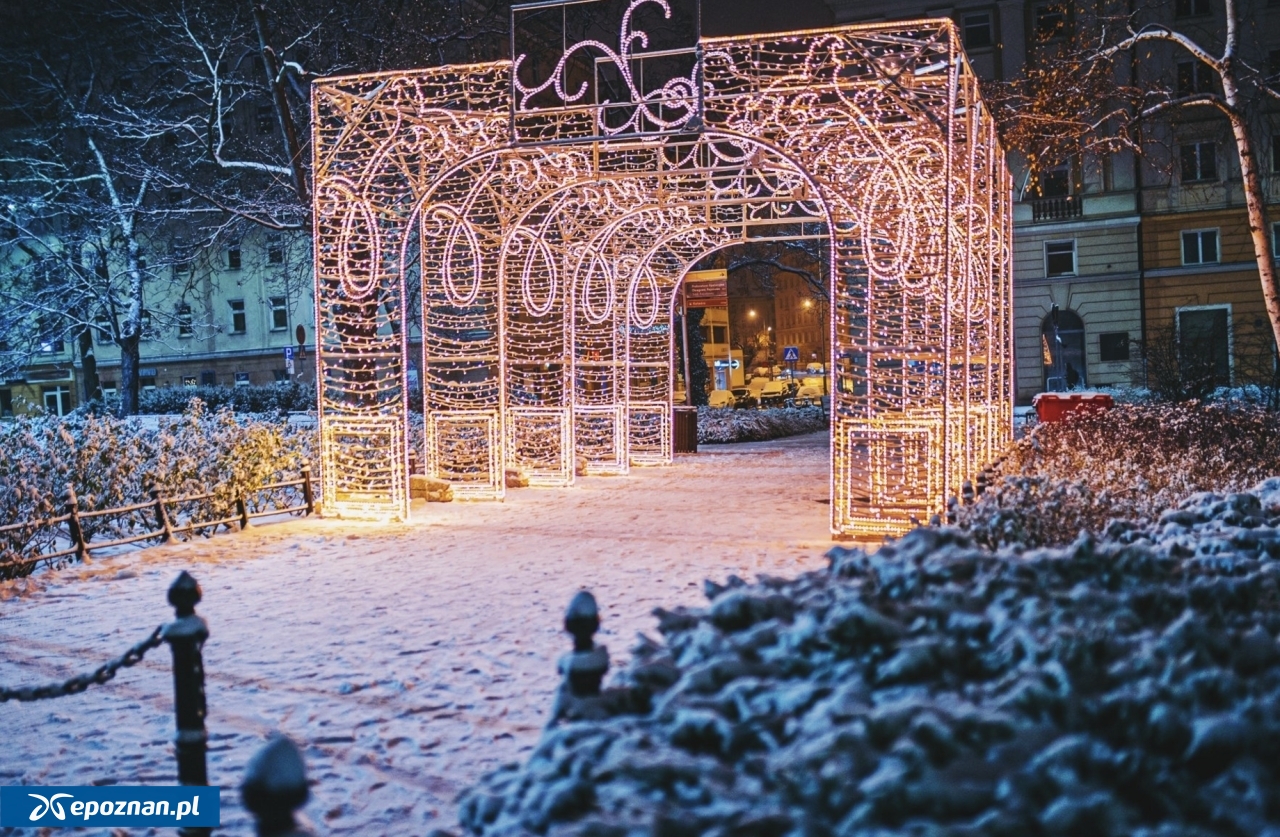 fot. UM Poznań