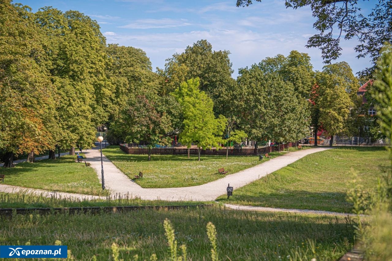 Park im. Henryka Wieniawskiego | fot. ZZM Poznań