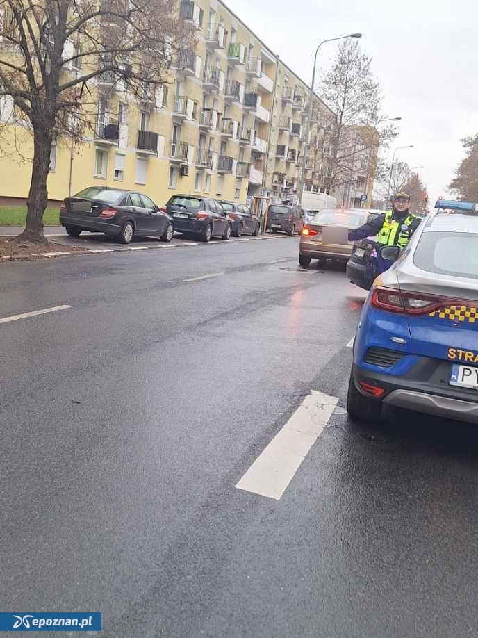 fot. Straż Miejska Miasta Poznania / FB