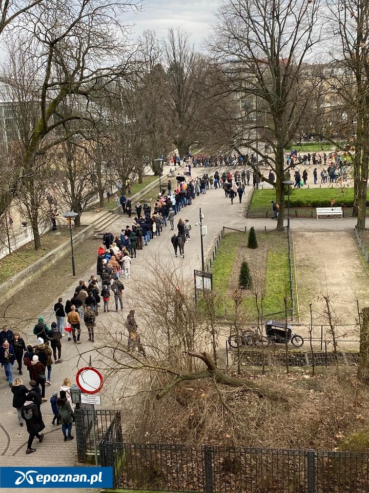 Do Palmiarni Poznańskiej potrafią się ustawiać takie kolejki | fot. Czytelniczka