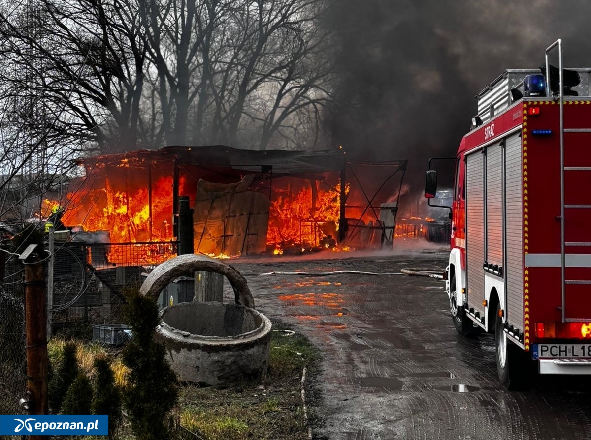 fot. Policja