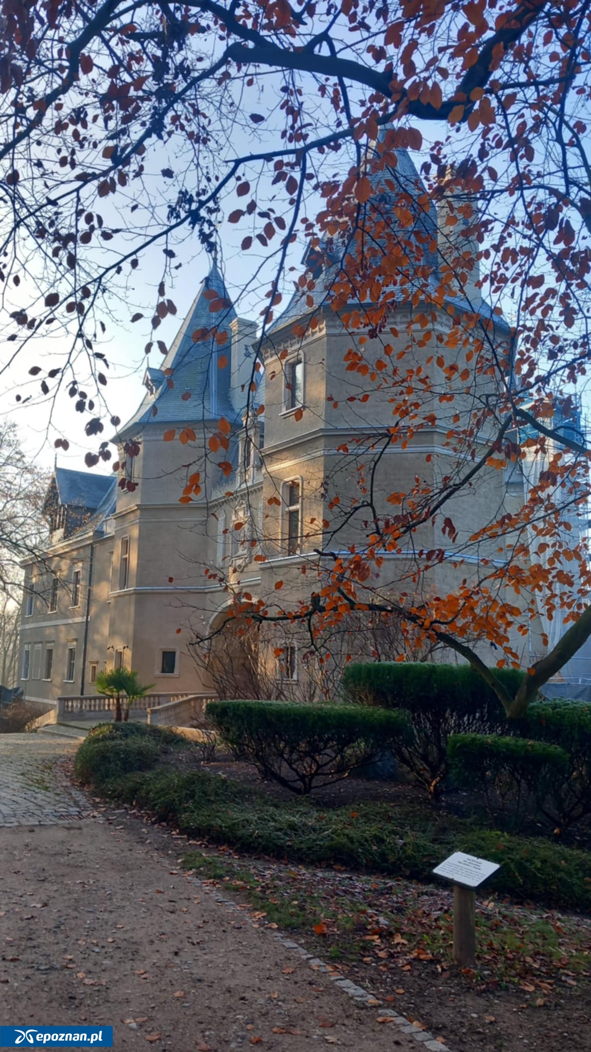 fot. Muzeum Zamek w Gołuchowie