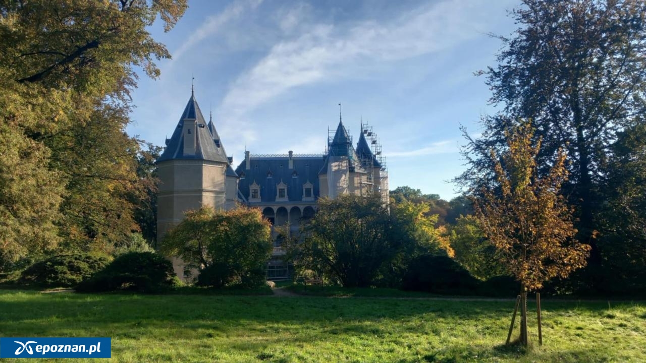 fot. Muzeum Zamek w Gołuchowie