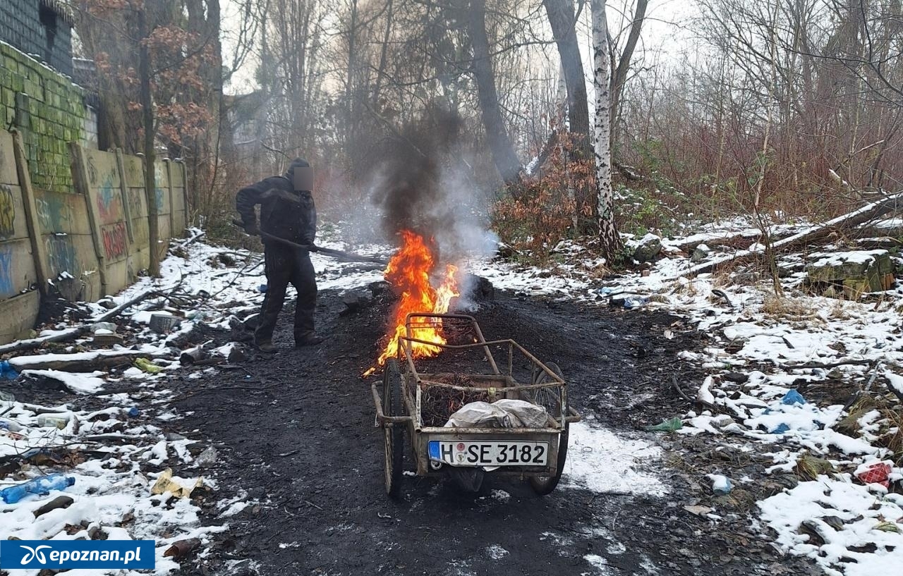 fot. Straż Miejska